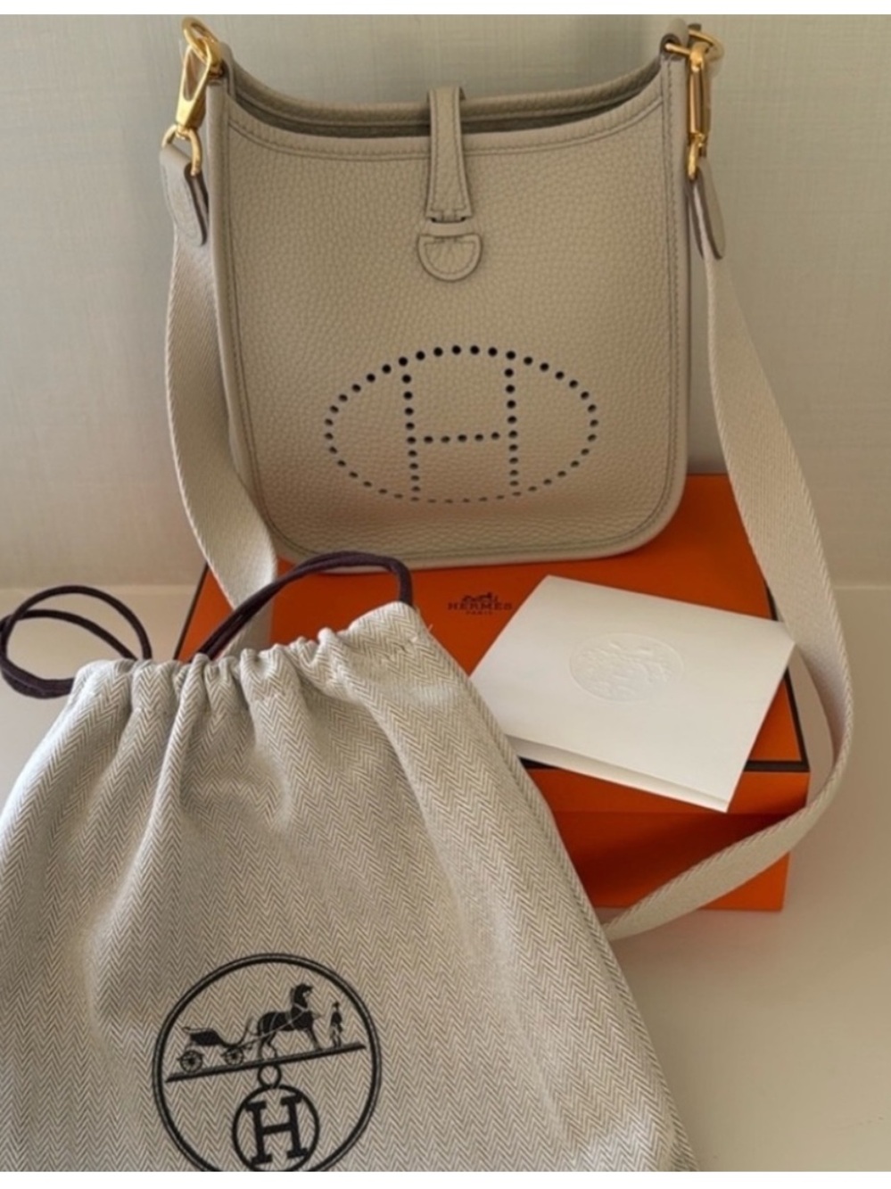Hermes Evelyne 16 TPM Breton Color Amazone Taurillon Clemence Leather NWT